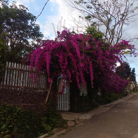 Ly'S Homestay Gia Nghia Ngoại thất bức ảnh