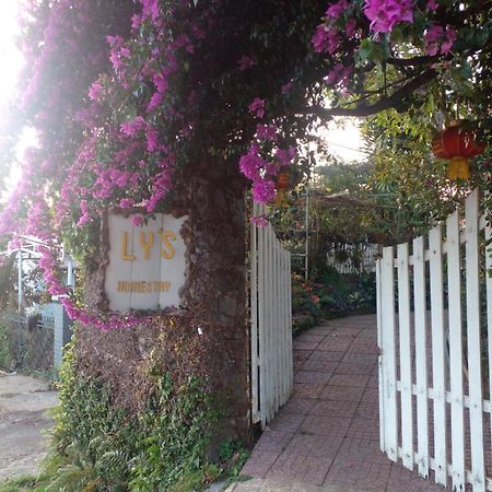 Ly'S Homestay Gia Nghia Ngoại thất bức ảnh