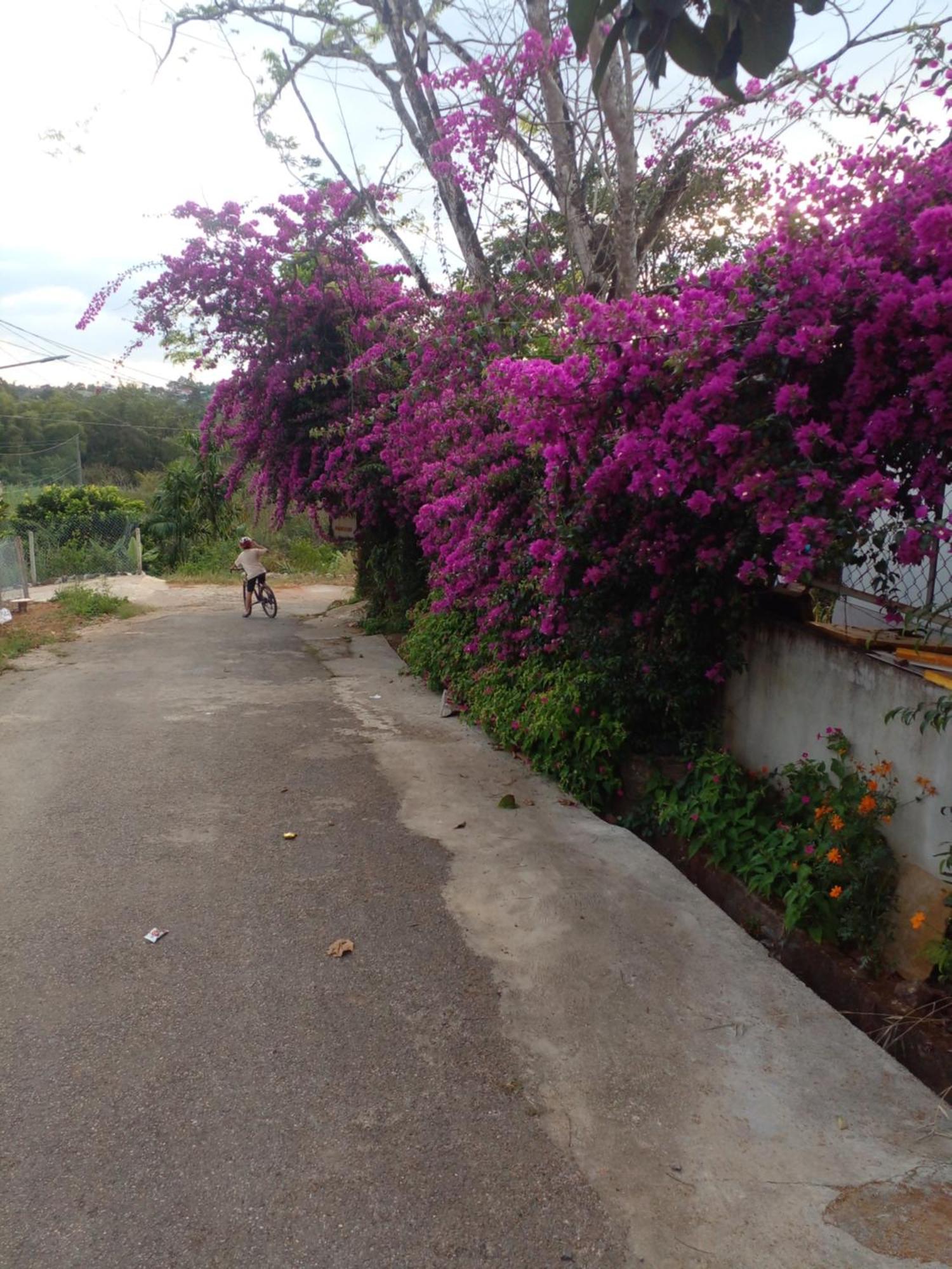Ly'S Homestay Gia Nghia Ngoại thất bức ảnh