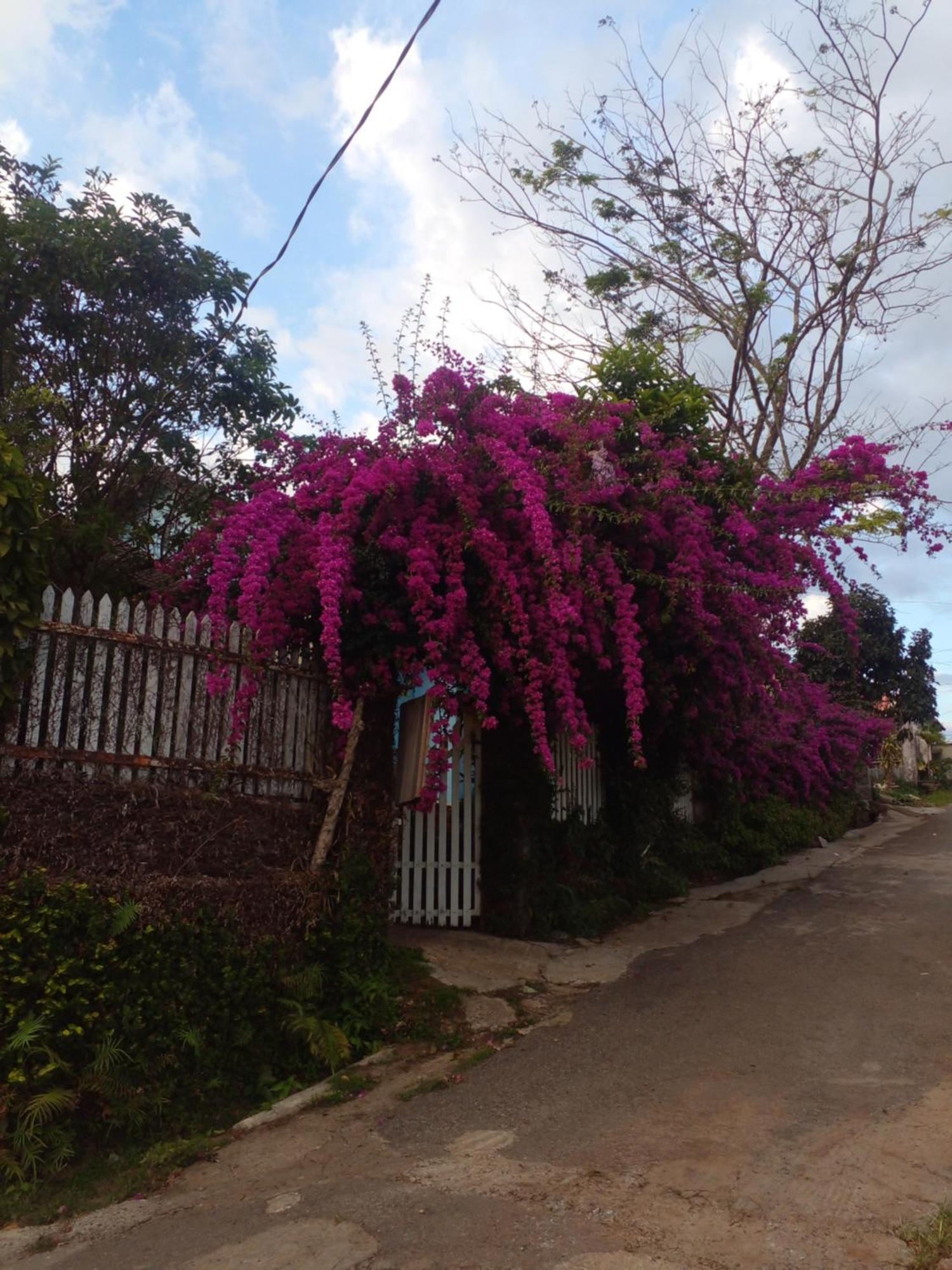 Ly'S Homestay Gia Nghia Ngoại thất bức ảnh