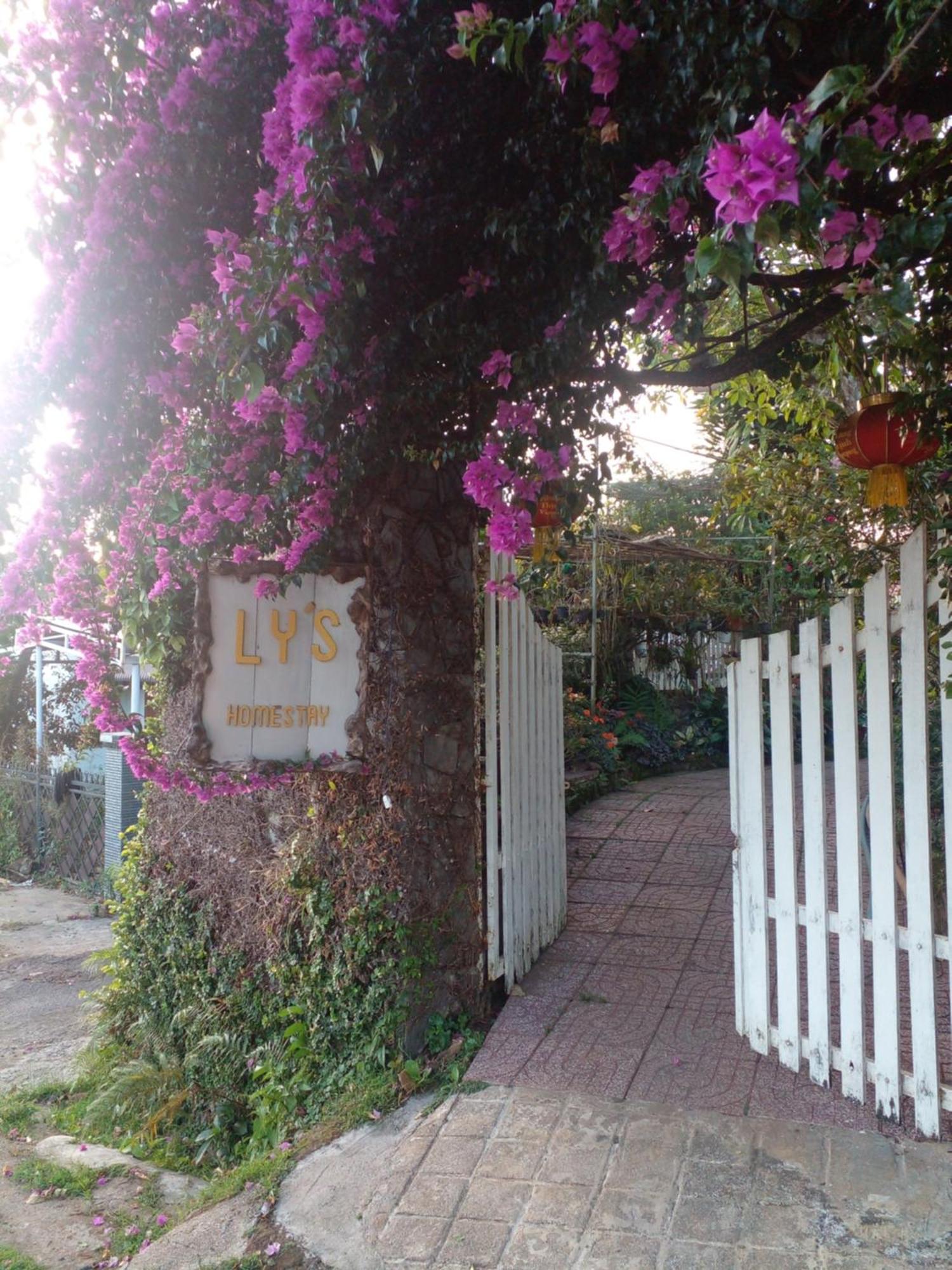 Ly'S Homestay Gia Nghia Ngoại thất bức ảnh